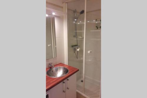 a bathroom with a sink and a shower at Appartement cosy dans le centre historique in Saint-Germain-en-Laye