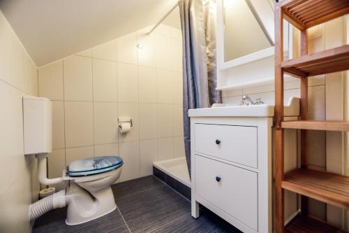 a bathroom with a toilet and a sink and a shower at Rural House Veranda in Šarengrad
