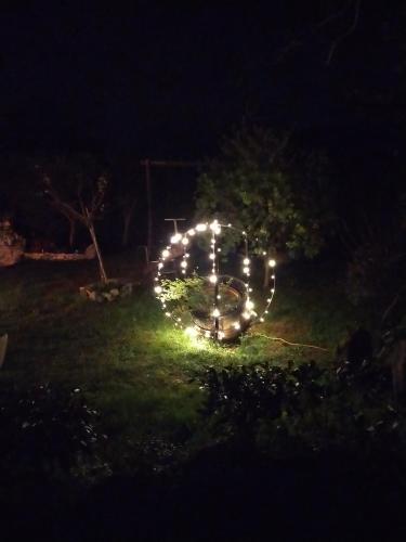 Ein Garten an der Unterkunft B&B il giardino di Eolo