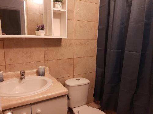 y baño con lavabo, aseo y ducha. en Apartamento Reinos Francos 414, en La Serena