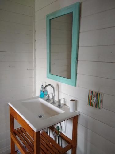 a bathroom with a sink and a mirror at Los Sauces in Tigre