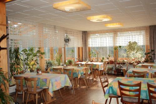 a dining room with tables and chairs and windows at Schwarzwald-Gasthof Hirsch in Bad Wildbad