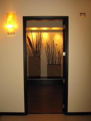 a glass door with two potted plants on it at Hotel Colonial in Teziutlán