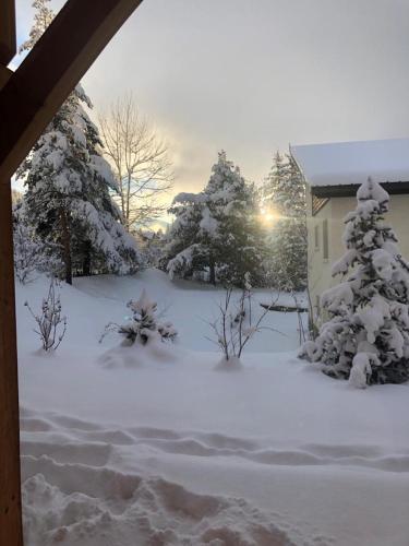 a yard covered in snow with trees and bushes at Chalet Nicouski in La Salle Les Alpes