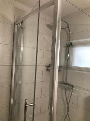 eine Dusche mit Glastür im Bad in der Unterkunft Ferienwohnung in Neunkirchen