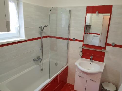 een badkamer met een douche en een wastafel bij Apartment Petra in Lipova Lazne