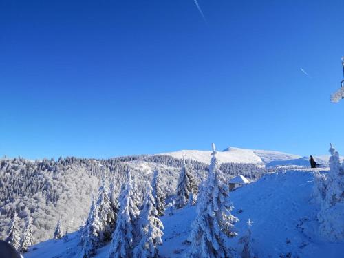 Dor de Munte Straja – Photos 4