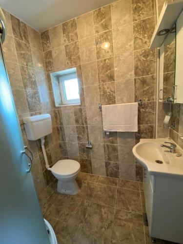 a bathroom with a toilet and a sink at Podrinjski san in Loznica