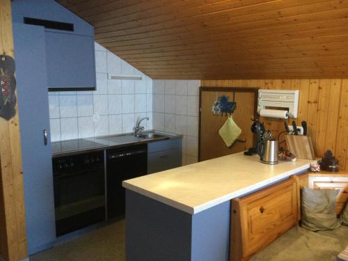 Kuchyň nebo kuchyňský kout v ubytování Chalet Marder