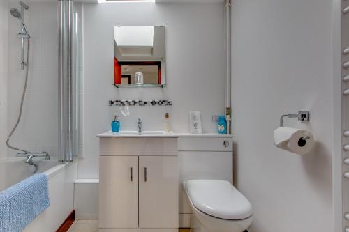 uma casa de banho com um WC, um lavatório e um chuveiro em Anvil & Stable Cottages em Felbrigg