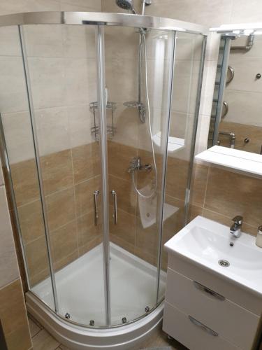 a shower with a glass door next to a sink at Swan City Apartment in Gulbene