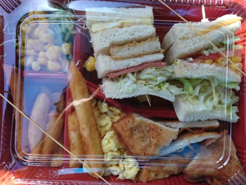 een plastic container gevuld met een sandwich en frietjes bij Saint Petersburg in Dongshan