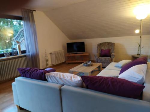 a living room with a couch and a tv at Ferienhaus Schenden in Piesport