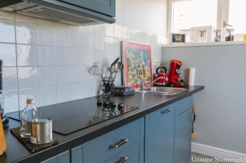 een keuken met een wastafel en een aanrecht bij BnB-Heirhuys in Visvliet