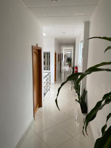 a hallway with white walls and a plant at Fitzcarrald Hotel in Iquitos