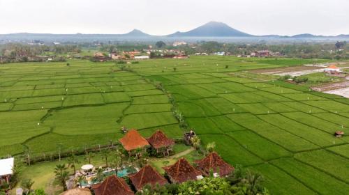 Aswanaya Villas Ubud — Bird's eye view