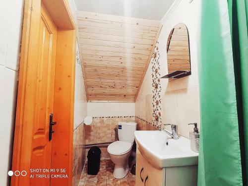 ヴォロサンカにあるCottage Panorama Karpatの小さなバスルーム(トイレ、シンク付)