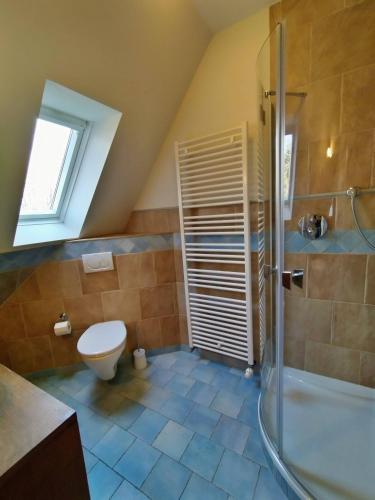 a attic bathroom with a toilet and a shower at Forsthaus Goldberg in Bad Harzburg