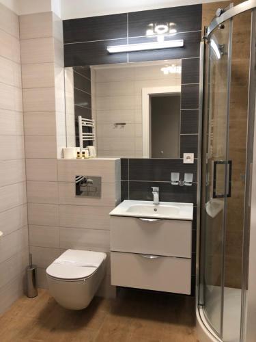ein Bad mit einem WC, einem Waschbecken und einer Dusche in der Unterkunft Baltic Blue Apartamenty Pobierowo in Pobierowo