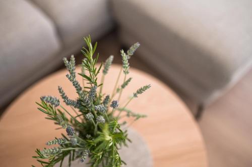 Sunnseit Apartments – Photos 5