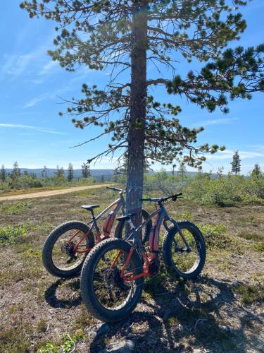 Montar en bicicleta en Apartment Suivakko o alrededores