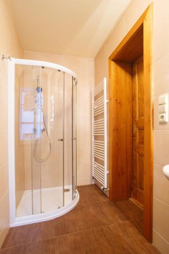 a bathroom with a shower with a glass enclosure at Pension Paseka in Litomyšl