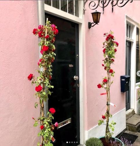 a black door with red roses on a pink house at Bookstor Atelier in The Hague