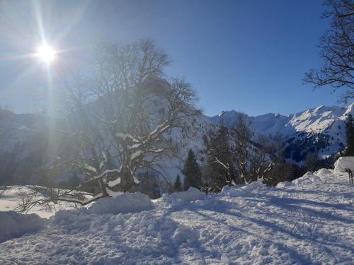 a snow covered mountain with the sun in the background at Haus Pfannenhölzer in Bad Hindelang