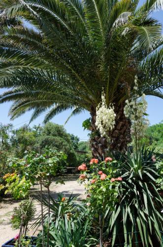 a palm tree in a garden with flowers at Villa Anna in Savudrija
