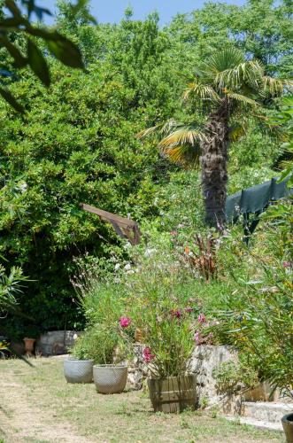 a garden with a palm tree and some plants at Villa Anna in Savudrija