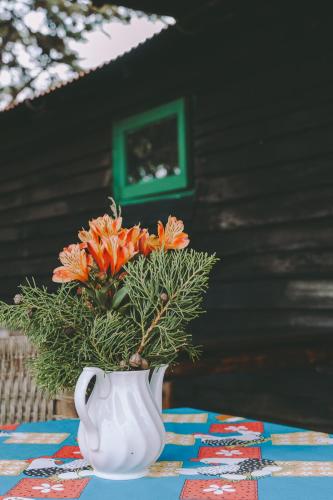 a white vase with orange flowers in it on a table at Villa Pajon Eco Lodge in Constanza