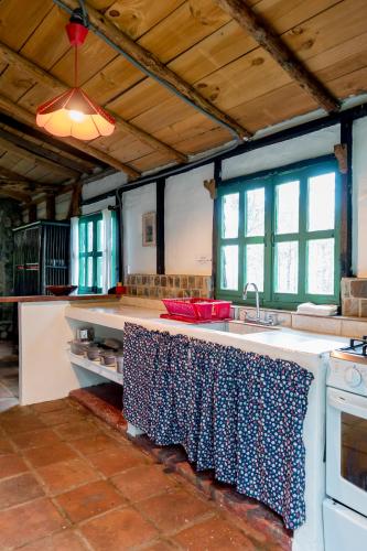 a kitchen with a sink and a stove at Villa Pajon Eco Lodge in Constanza