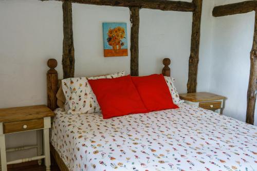 a bedroom with a bed with a red pillow on it at Villa Pajon Eco Lodge in Constanza