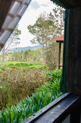 a view from a window of a field of plants at Villa Pajon Eco Lodge in Constanza