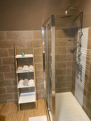 a bathroom with a shower and towels on shelves at superbe appartement in Charleroi