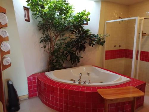 a bath tub with a tree in a bathroom at Casa Tsaya Hotel Boutique in Bernal