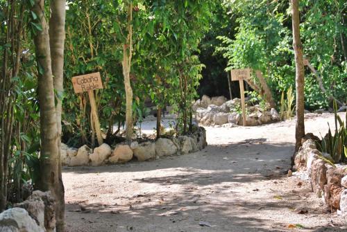 Landskap semula jadi dekat dengan hotel