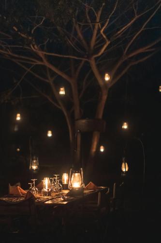a table with candles and a tree at night at Leopard Safaris Yala in Yala