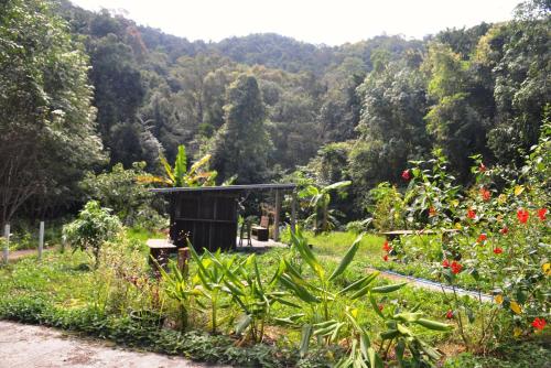 a garden with a bench in the middle of a field at Homebar in Ko Chang