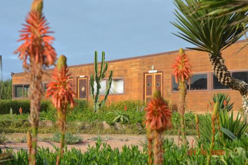 a house with a palm tree in front of it at Dakhla Kitesurf World in Dakhla