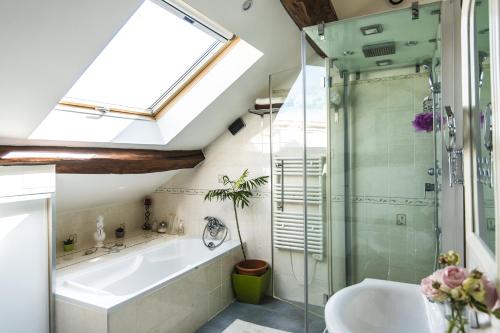 a bathroom with a skylight and a shower and a sink at Le Petit Domaine de Bois Avril in Étais-la-Sauvin