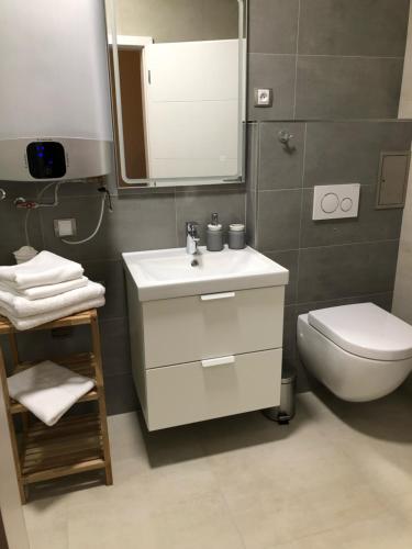 a bathroom with a sink and a toilet and a mirror at Apartmán Janina in Janov nad Nisou