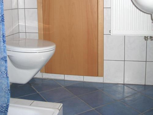 a bathroom with a toilet and a blue tile floor at Haus am Apfelbaum in Bad Säckingen