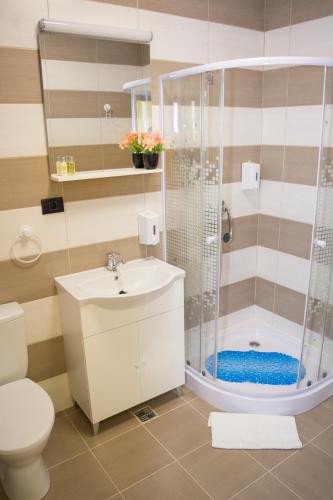 a bathroom with a shower and a sink and a toilet at CASA ERk in Călimăneşti