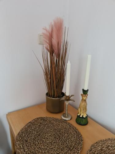 einen Tisch mit einer Katzenfigur und Kerzen darauf in der Unterkunft Evy's place in Zandvoort