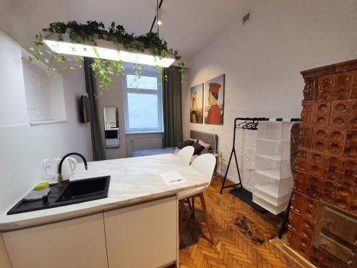 una cocina con fregadero y encimera en Takie studio, że żal nie wynająć, en Łódź