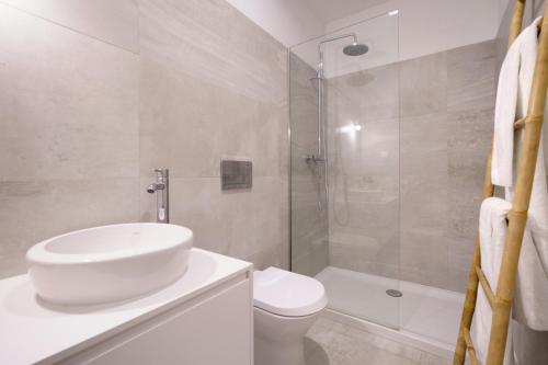 La salle de bains est pourvue d'un lavabo, de toilettes et d'une douche. dans l'établissement Stayin Apartments - Rua do Sol, à Porto