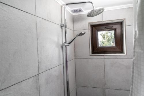 a shower with a shower head and a mirror at Modern Loft Lighthouse in Karakol