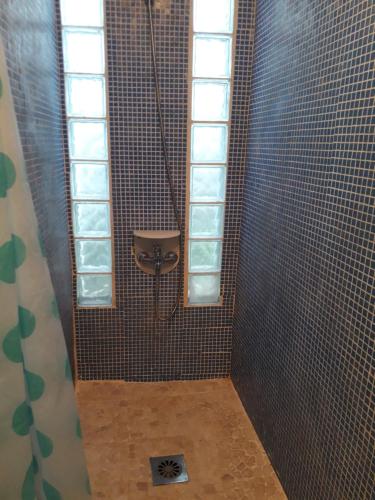 a bathroom with a shower with a window at Ti Bamboo in Le Tampon