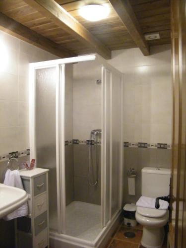 a bathroom with a shower and a toilet and a sink at El Rincón de los Riveros in El Raso